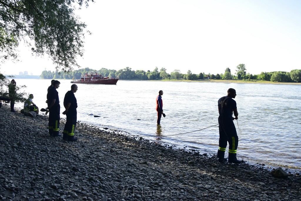 PRhein Koeln Rodenkirchen Uferstr P161.JPG - Miklos Laubert